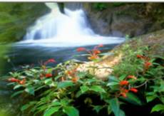 אגם גארדה - Parco delle Cascate Molina